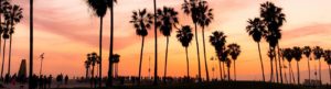 Santa Monica palm trees at sunset
